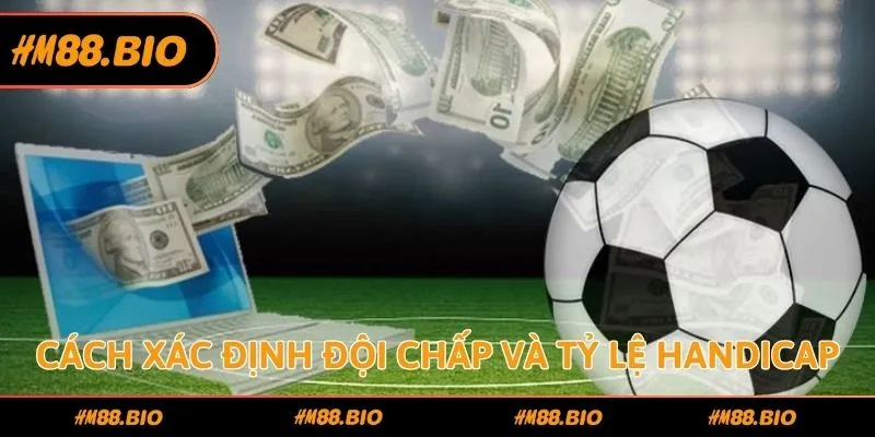 Cách xác định đội chấp và tỷ lệ Handicap