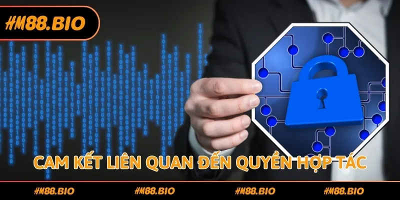 Cam kết liên quan đến quyền hợp tác của nhà cái HM88
