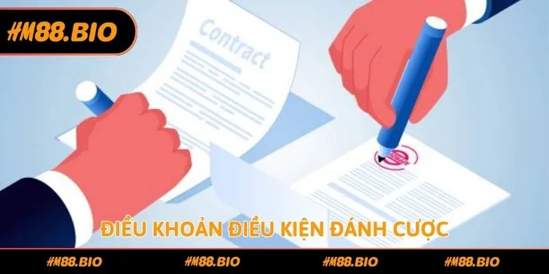 Điều khoản điều kiện đánh cược