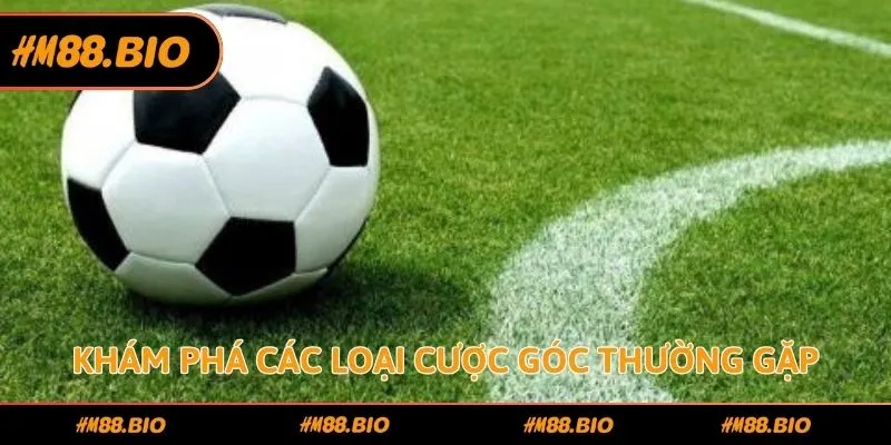 Khám phá các loại cược góc thường gặp