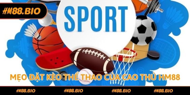 Mẹo đặt kèo thể thao của cao thủ HM88