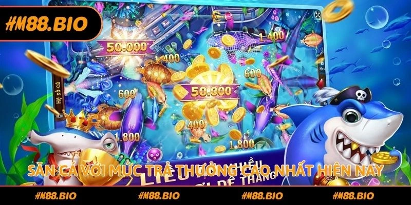 Săn cá với mức trả thưởng cao nhất hiện nay
