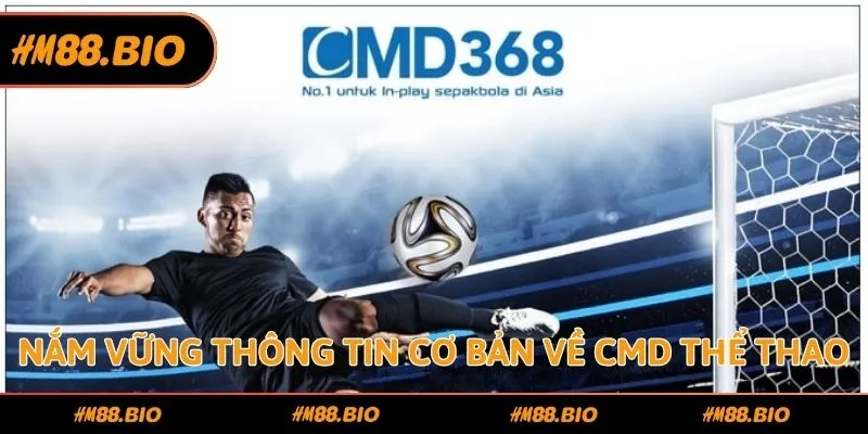 Nắm vững thông tin cơ bản về CMD thể thao