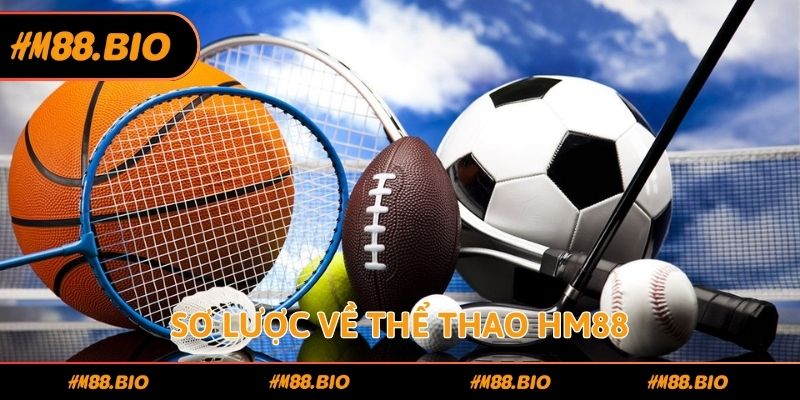 Sơ lược về thể thao HM88